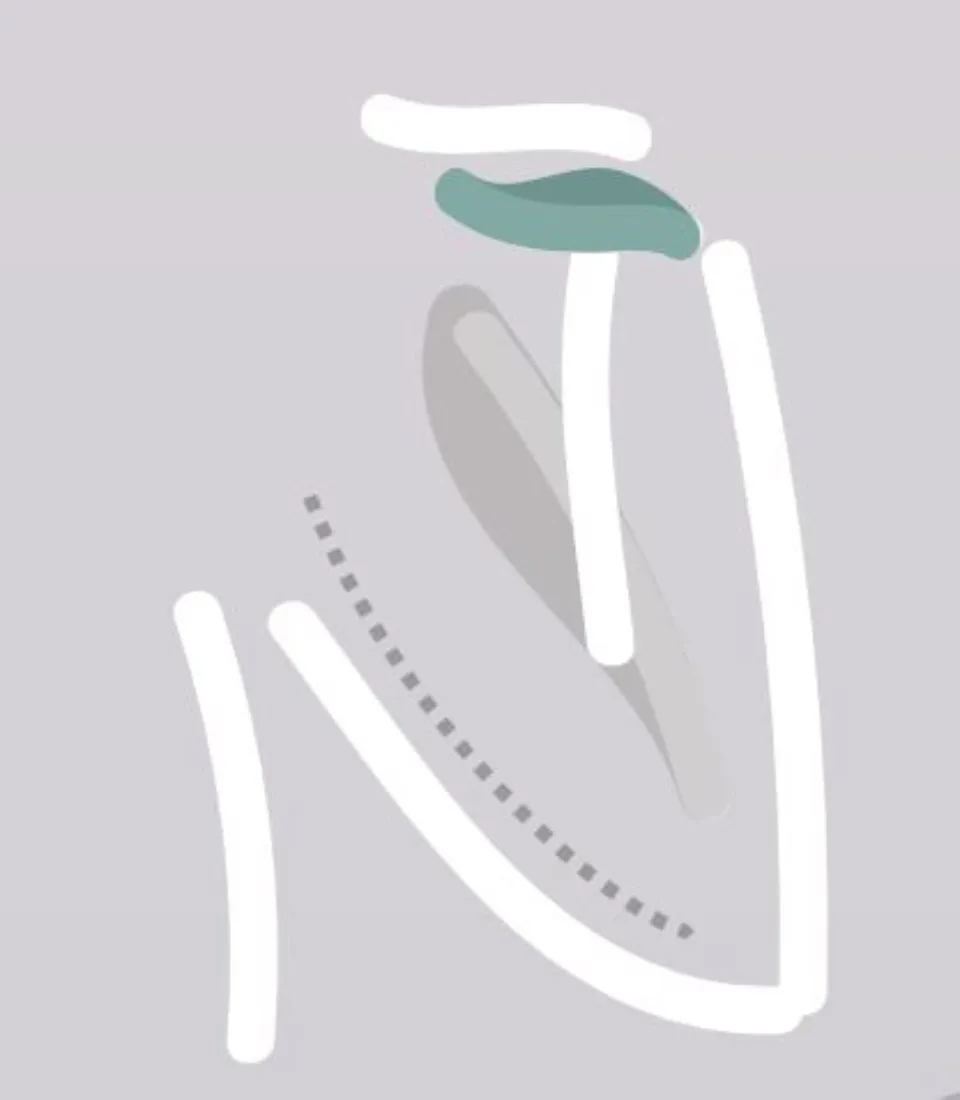 chirurgia estetica arti